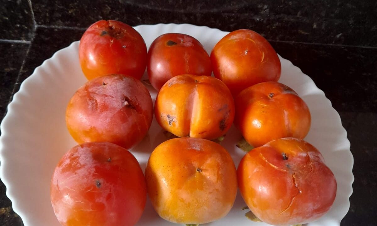 IMG-20250514-WA0053