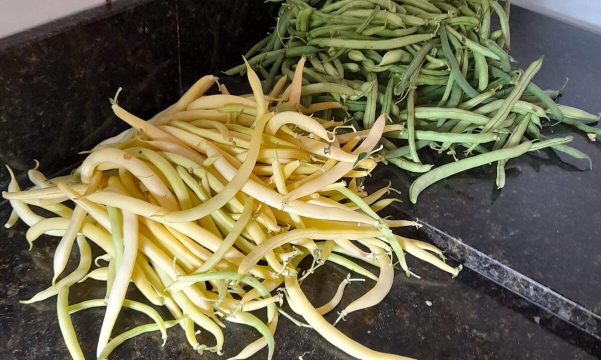 IMG-20250514-WA0056