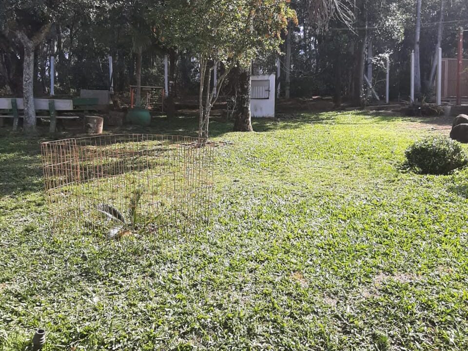 IMG-20250527-WA0049